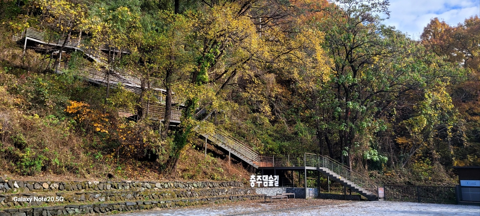 충주 댐 숲길 그리고 가을