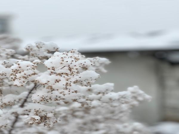 겨울의 시작 이미지