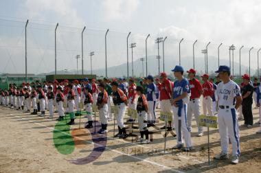 야구대회 의 사진