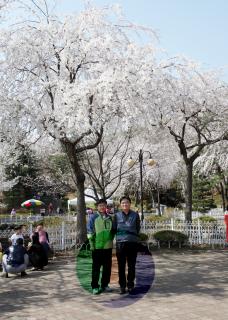제1회 충주호벚꽃축제 의 사진