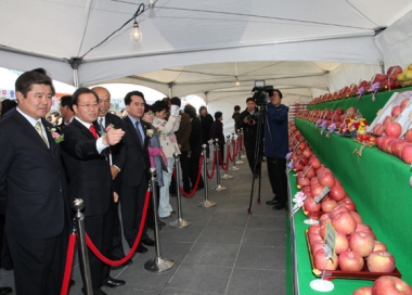 2012충주사과축제 의 사진