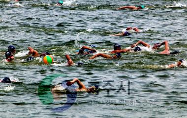 호수축제 전국핀수영대회 사진