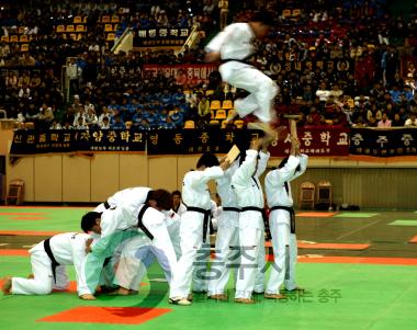 전국종별 태권도선수권대회 개회식 의 사진