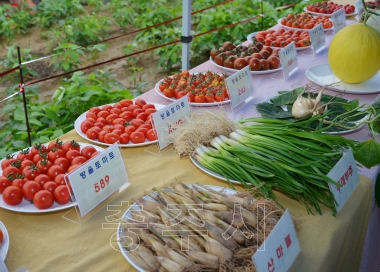 기술보급R&D시험연구종합평가회 의 사진