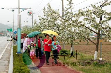 시민 사과나무가로수 꽃길 걷기대회 의 사진