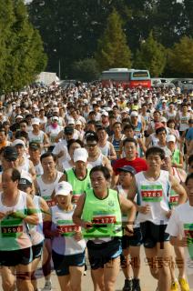 제1회 CCS 충주마라톤대회 사진