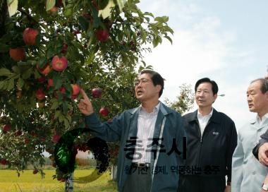 장태평 농림수산식품장관 사과나무가로수거리 방문 사진