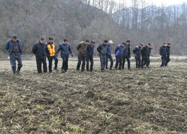 농촌지도자 보리재배 과제포 보리밟기 의 사진