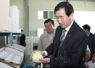 노은농협 복숭아 공동선별장 방문 의 사진