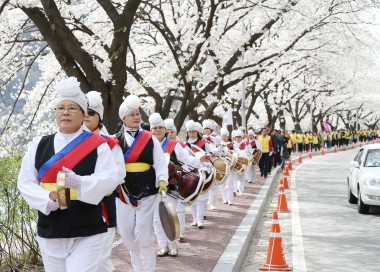 충주댐 벚꽃축제 걷기대회 의 사진