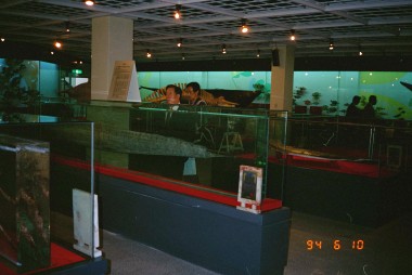 임진동래의총 정화기념비 및 해양 박물관 의 사진