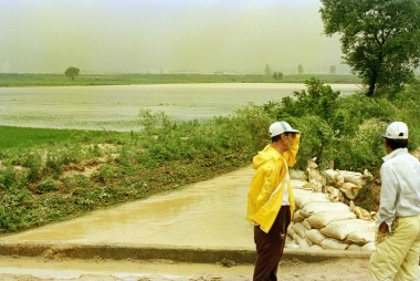 수해현장 의 사진