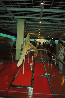 해양 박물관 의 사진