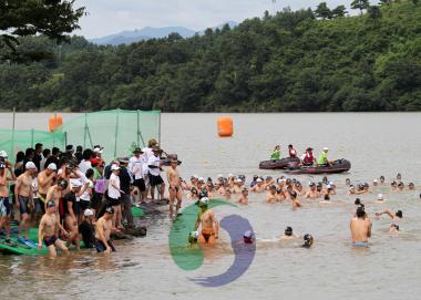2011 호수축제 핀수영대회 의 사진