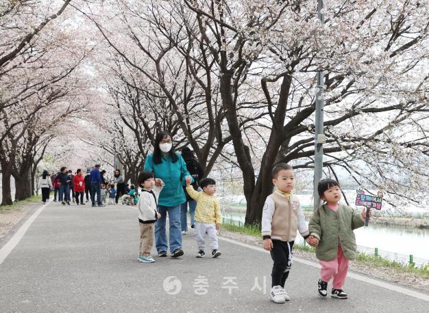 봉방동 하방마을 벚꽃길 걷기 행사 의 사진