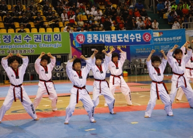 2013 전국어린이 태권왕 대회 개회식 의 사진