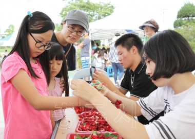 제13회 봉숭아꽃잔치 사진
