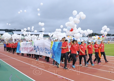 제53회 충북도민체육대회 개막식 사진