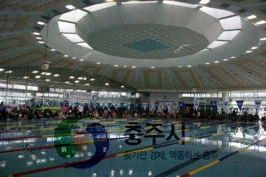전국수영대회 사진