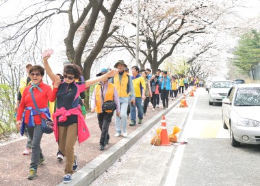 충주호 벚꽃길 걷기대회 사진