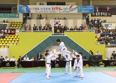 전국 종별 태권도 선수권대회 의 사진