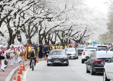 충주댐 벚꽃축제 걷기대회 사진