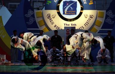 제5회 충주국제무술축제-국내무술시연 의 사진