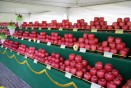 사과축제 의 사진