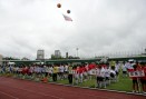 꿈나무 어린이축구대회 의 사진