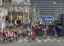 Tour de Korea 시상 및 출발식 의 사진