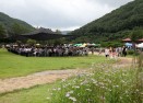 2012봉숭아꽃잔치 개막 의 사진