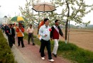 충주시민 사과나무가로수꽃길 걷기대회 의 사진