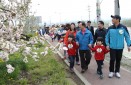 사과나무가로수 꽃길 걷기 및 농심 체험행사 의 사진