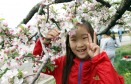 사과나무가로수 꽃길 걷기 및 농심 체험행사 의 사진