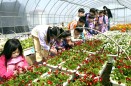 충주시꽃묘장 자연학습장으로 개방 의 사진