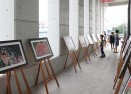 제13회 봉숭아꽃잔치 의 사진