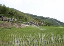 가뭄피해현장 살수차 동원 의 사진