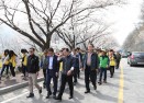 충주호 벚꽃길 걷기대회 의 사진