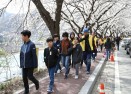 충주댐 벚꽃축제 걷기대회 의 사진