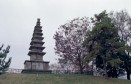 중앙탑 정비(나무제거) 의 사진