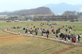 국가정원 조성 기원 및 생태건강도시 실현을 위한 청보리밭 밟기 행사 의 사진