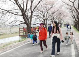 봉방동 하방마을 벚꽃길 걷기 행사 의 사진