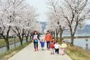 봉방동 하방 및 천변도로 벚꽃거리 의 사진