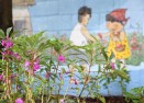제14회 봉숭아꽃잔치 의 사진