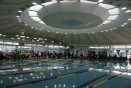 전국수영대회 의 사진