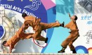 제4회충주세계무술축제-외국무술시연 의 사진